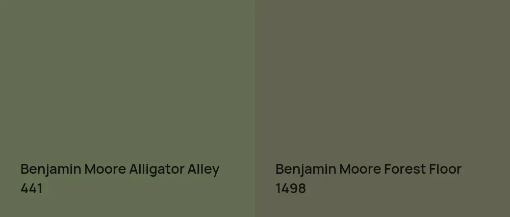 Benjamin Moore Alligator Alley 441 vs Benjamin Moore Forest Floor 1498