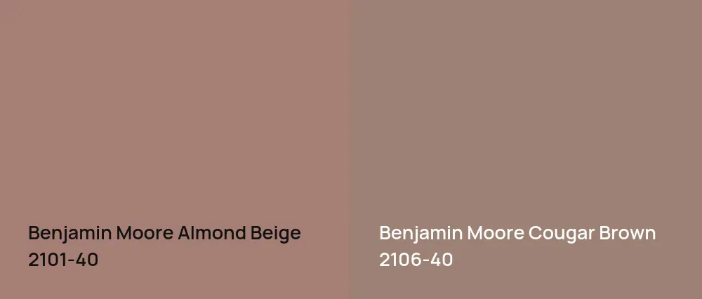 Benjamin Moore Almond Beige 2101-40 vs Benjamin Moore Cougar Brown 2106-40