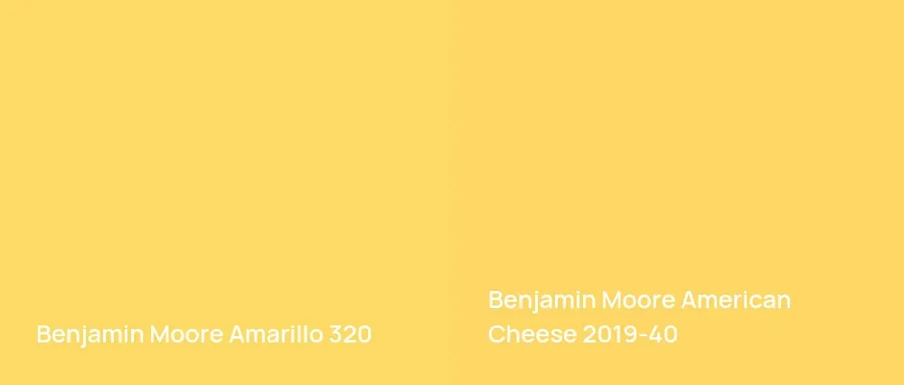 Benjamin Moore Amarillo 320 vs Benjamin Moore American Cheese 2019-40