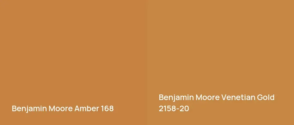 Benjamin Moore Amber 168 vs Benjamin Moore Venetian Gold 2158-20