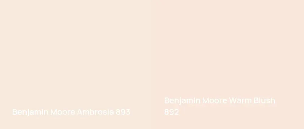 Benjamin Moore Ambrosia 893 vs Benjamin Moore Warm Blush 892