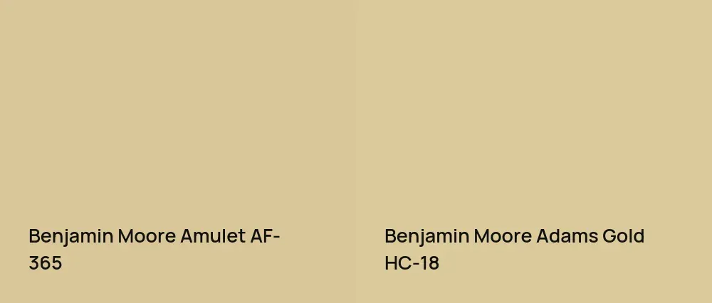 Benjamin Moore Amulet AF-365 vs Benjamin Moore Adams Gold HC-18