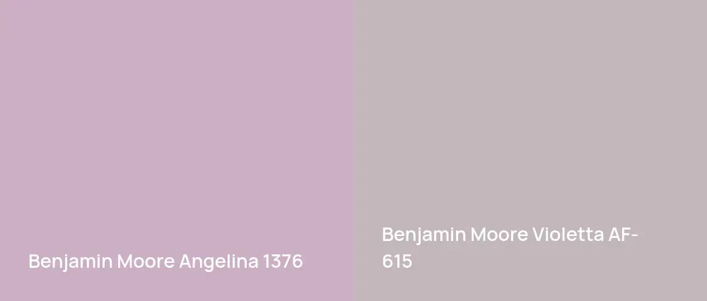 Benjamin Moore Angelina 1376 vs Benjamin Moore Violetta AF-615