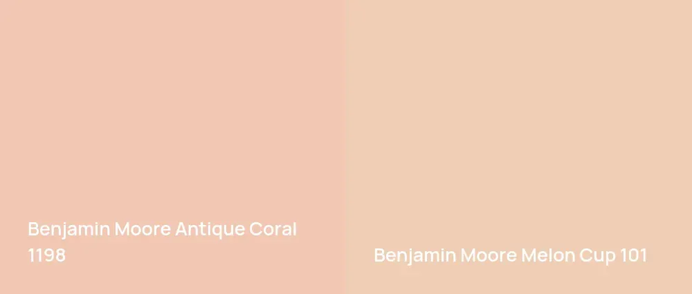 Benjamin Moore Antique Coral 1198 vs Benjamin Moore Melon Cup 101