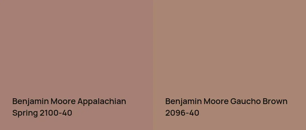 Benjamin Moore Appalachian Spring 2100-40 vs Benjamin Moore Gaucho Brown 2096-40