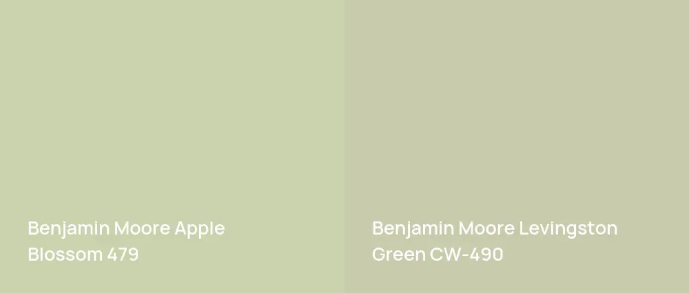 Benjamin Moore Apple Blossom 479 vs Benjamin Moore Levingston Green CW-490