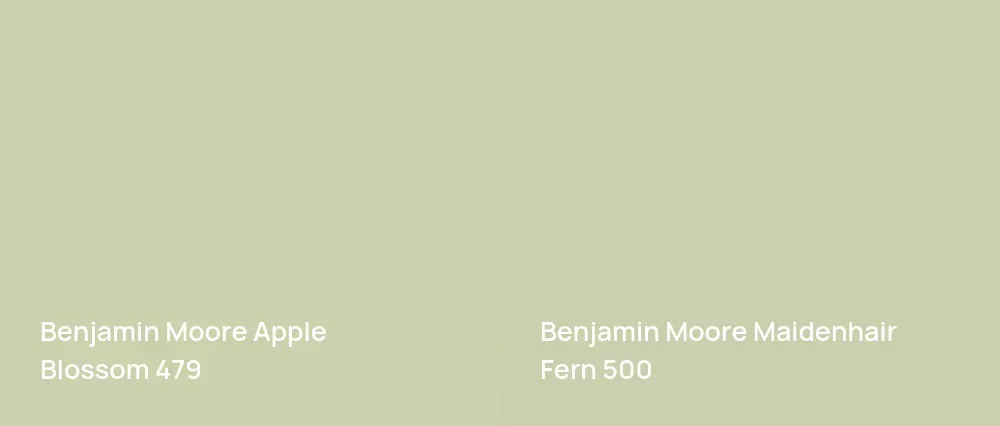 Benjamin Moore Apple Blossom 479 vs Benjamin Moore Maidenhair Fern 500