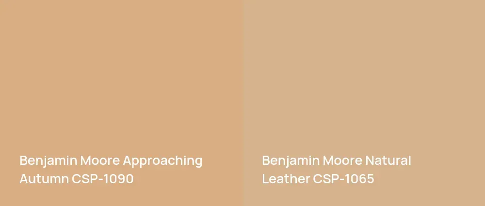 Benjamin Moore Approaching Autumn CSP-1090 vs Benjamin Moore Natural Leather CSP-1065