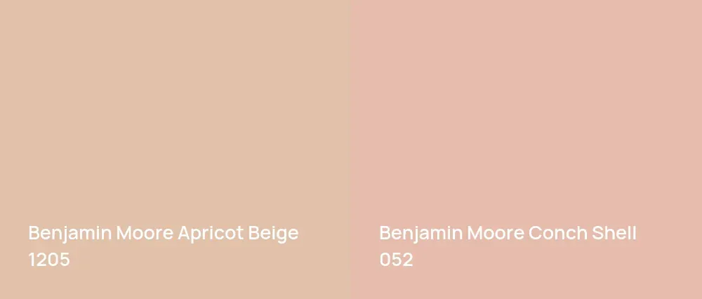 Benjamin Moore Apricot Beige 1205 vs Benjamin Moore Conch Shell 052