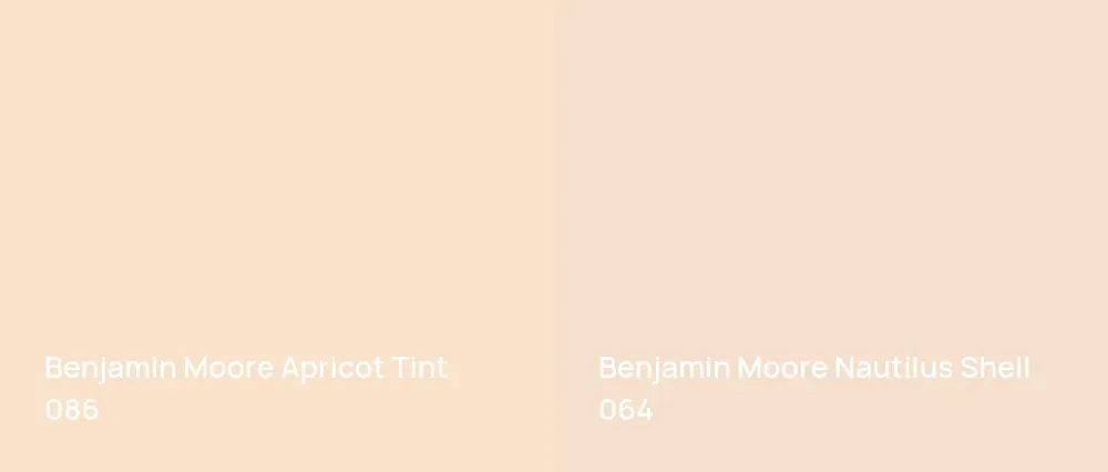 Benjamin Moore Apricot Tint 086 vs Benjamin Moore Nautilus Shell 064