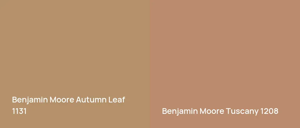 Benjamin Moore Autumn Leaf 1131 vs Benjamin Moore Tuscany 1208