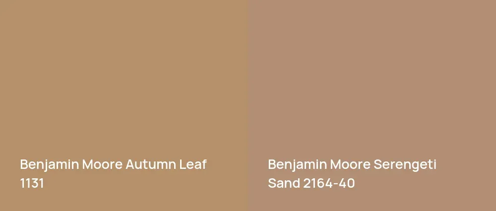 Benjamin Moore Autumn Leaf 1131 vs Benjamin Moore Serengeti Sand 2164-40