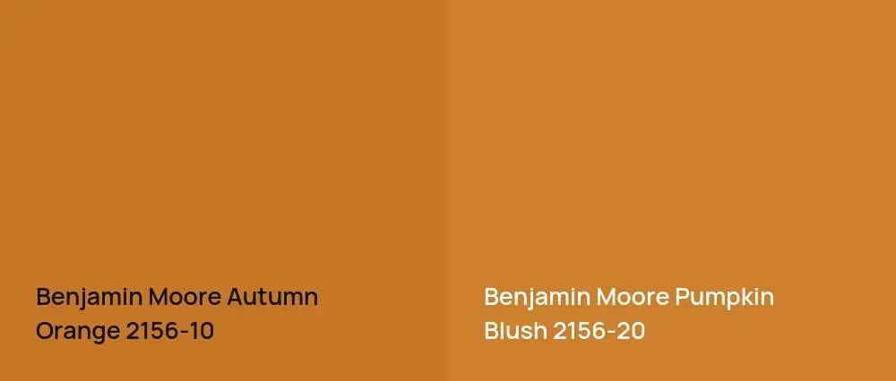 Benjamin Moore Autumn Orange 2156-10 vs Benjamin Moore Pumpkin Blush 2156-20