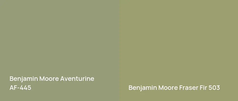 Benjamin Moore Aventurine AF-445 vs Benjamin Moore Fraser Fir 503
