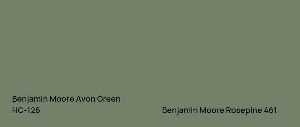 Benjamin Moore Avon Green HC-126 vs Benjamin Moore Rosepine 461
