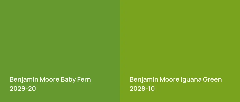 Benjamin Moore Baby Fern 2029-20 vs Benjamin Moore Iguana Green 2028-10