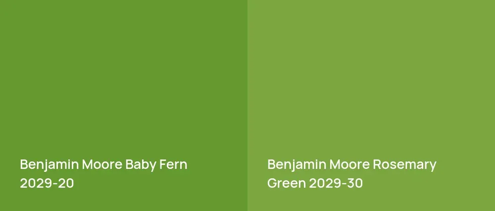 Benjamin Moore Baby Fern 2029-20 vs Benjamin Moore Rosemary Green 2029-30