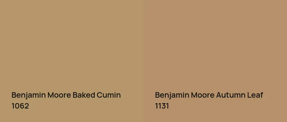 Benjamin Moore Baked Cumin 1062 vs Benjamin Moore Autumn Leaf 1131