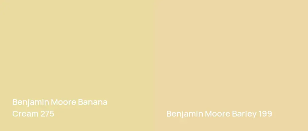 Benjamin Moore Banana Cream 275 vs Benjamin Moore Barley 199