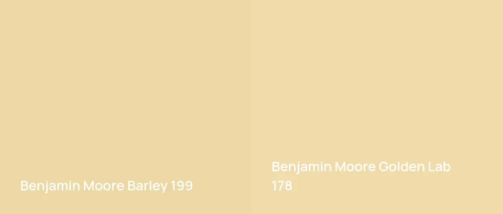 Benjamin Moore Barley 199 vs Benjamin Moore Golden Lab 178