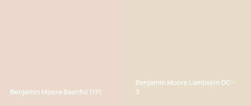 Benjamin Moore Bashful 1171 vs Benjamin Moore Lambskin OC-3