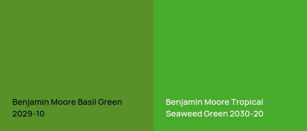 Benjamin Moore Basil Green 2029-10 vs Benjamin Moore Tropical Seaweed Green 2030-20