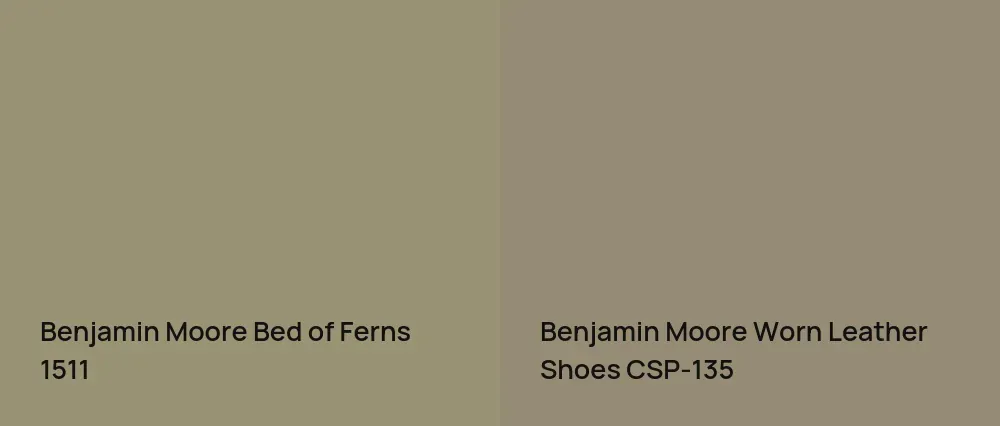 Benjamin Moore Bed of Ferns 1511 vs Benjamin Moore Worn Leather Shoes CSP-135