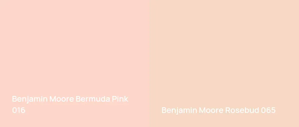 Benjamin Moore Bermuda Pink 016 vs Benjamin Moore Rosebud 065