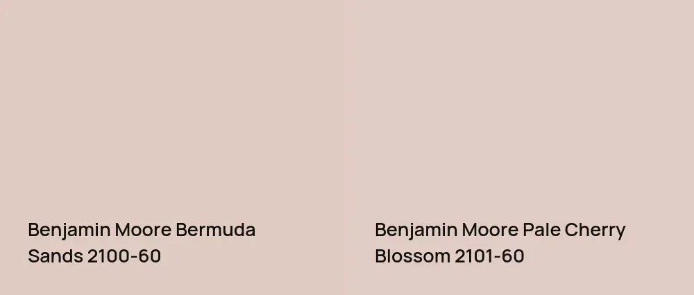 Benjamin Moore Bermuda Sands 2100-60 vs Benjamin Moore Pale Cherry Blossom 2101-60