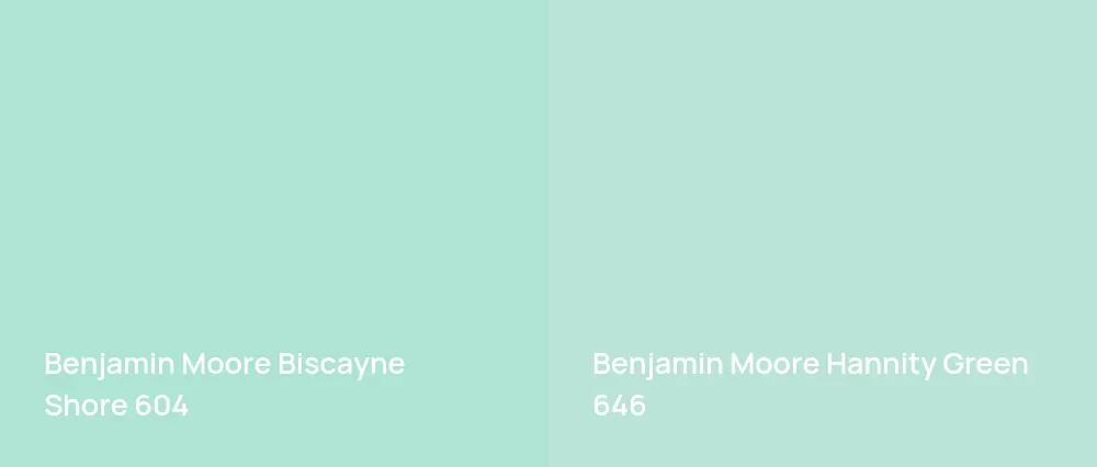 Benjamin Moore Biscayne Shore 604 vs Benjamin Moore Hannity Green 646
