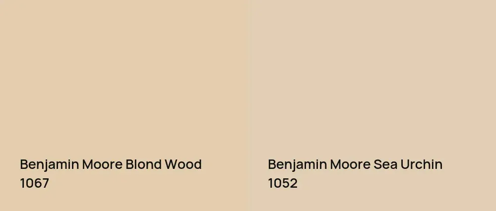Benjamin Moore Blond Wood 1067 vs Benjamin Moore Sea Urchin 1052