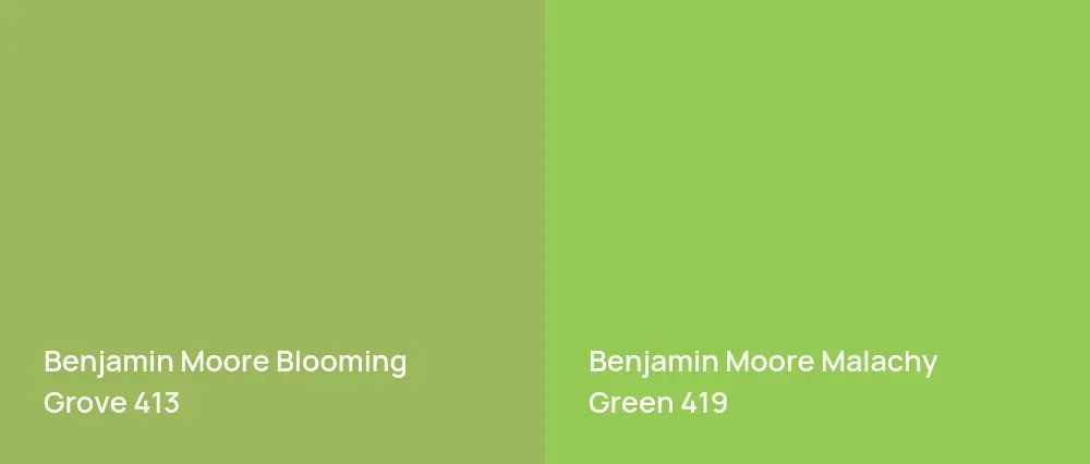 Benjamin Moore Blooming Grove 413 vs Benjamin Moore Malachy Green 419