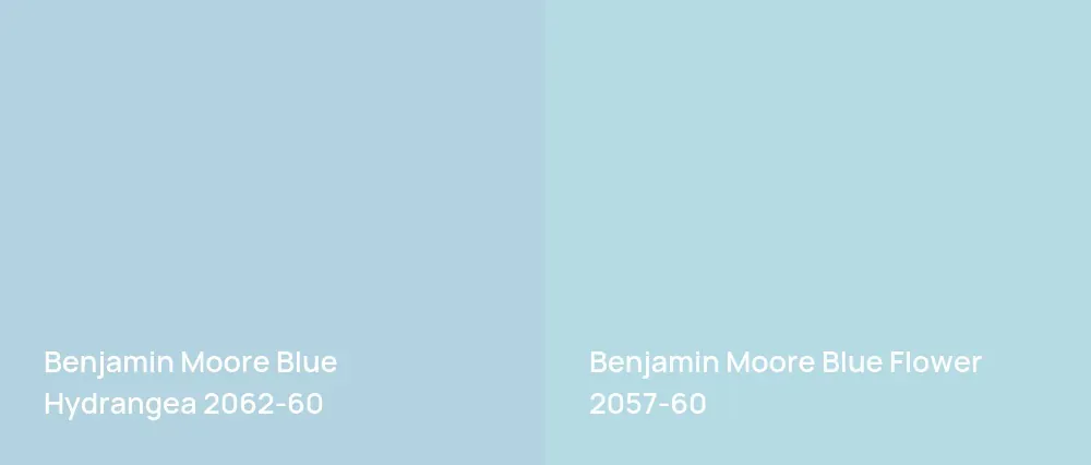 Benjamin Moore Blue Hydrangea 2062-60 vs Benjamin Moore Blue Flower 2057-60