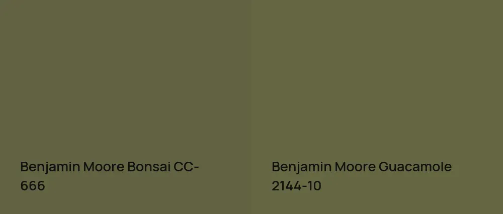Benjamin Moore Bonsai CC-666 vs Benjamin Moore Guacamole 2144-10