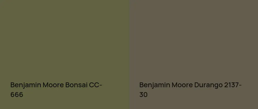 Benjamin Moore Bonsai CC-666 vs Benjamin Moore Durango 2137-30