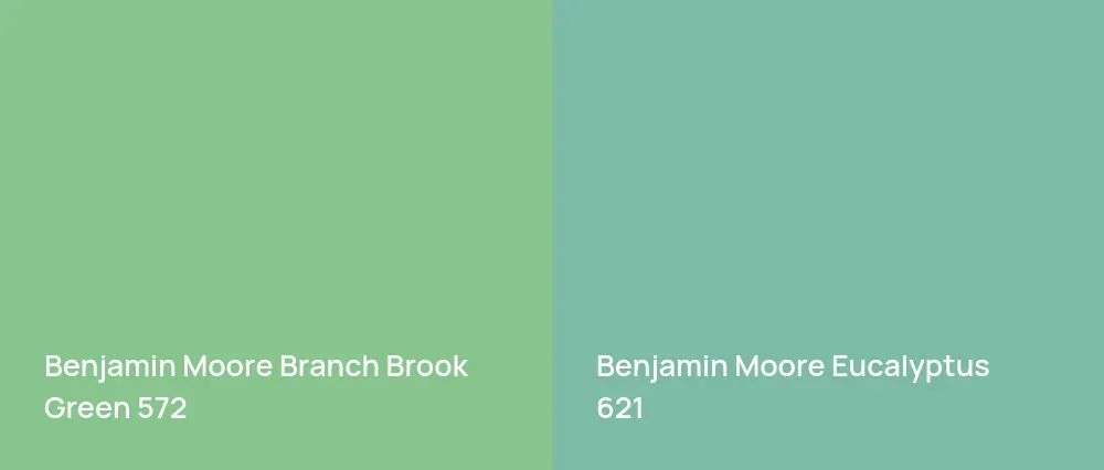 Benjamin Moore Branch Brook Green 572 vs Benjamin Moore Eucalyptus 621