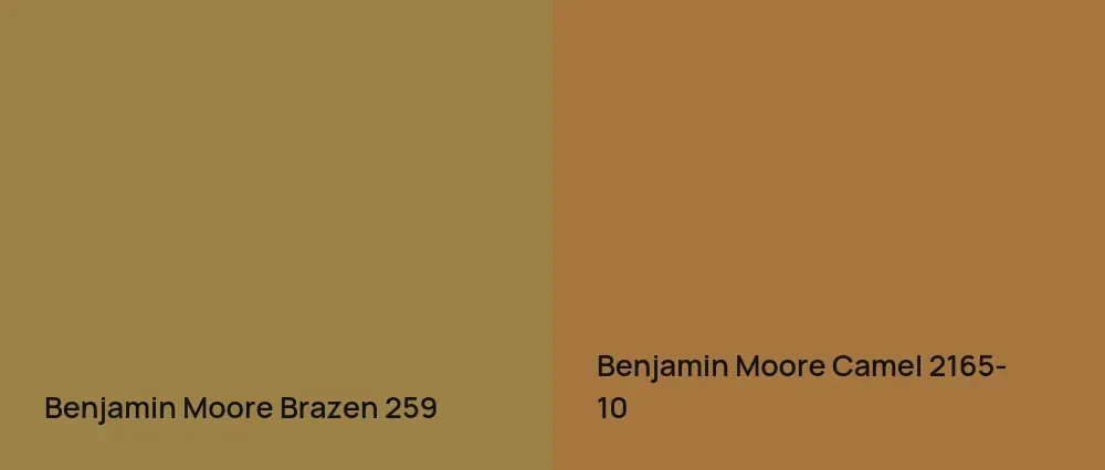 Benjamin Moore Brazen 259 vs Benjamin Moore Camel 2165-10