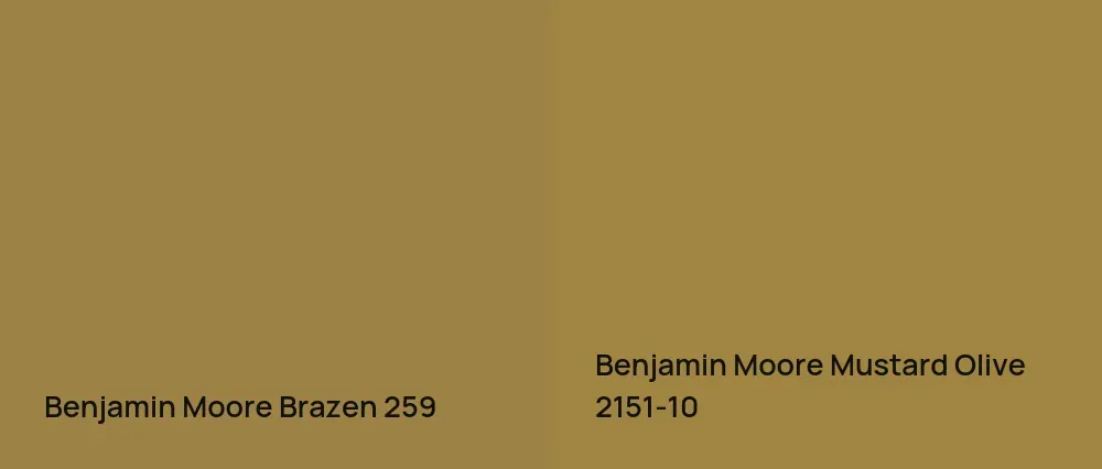 Benjamin Moore Brazen 259 vs Benjamin Moore Mustard Olive 2151-10