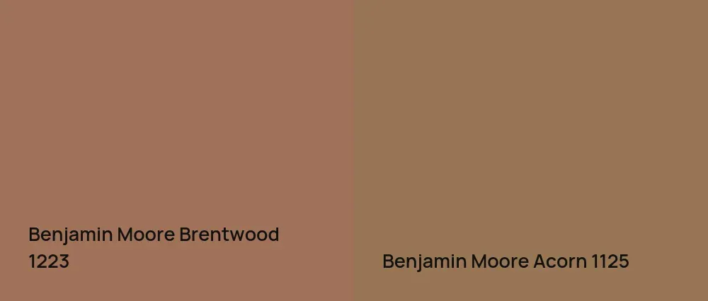 Benjamin Moore Brentwood 1223 vs Benjamin Moore Acorn 1125