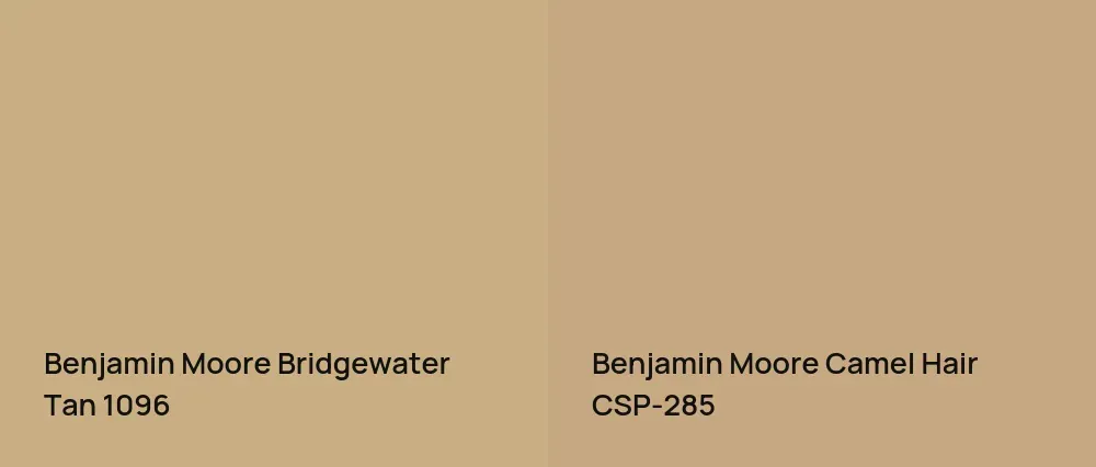 Benjamin Moore Bridgewater Tan 1096 vs Benjamin Moore Camel Hair CSP-285