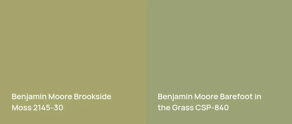 Benjamin Moore Brookside Moss 2145-30 vs Benjamin Moore Barefoot in the Grass CSP-840