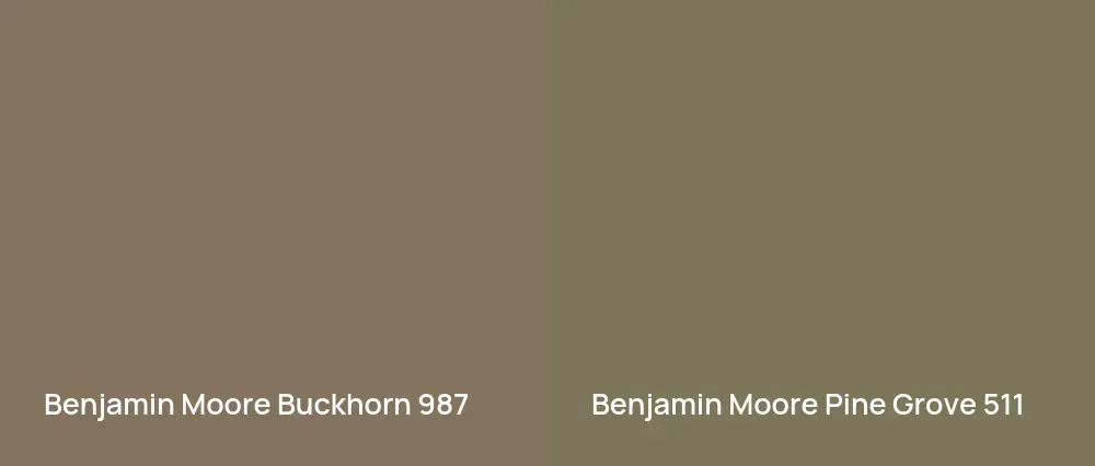 Benjamin Moore Buckhorn 987 vs Benjamin Moore Pine Grove 511