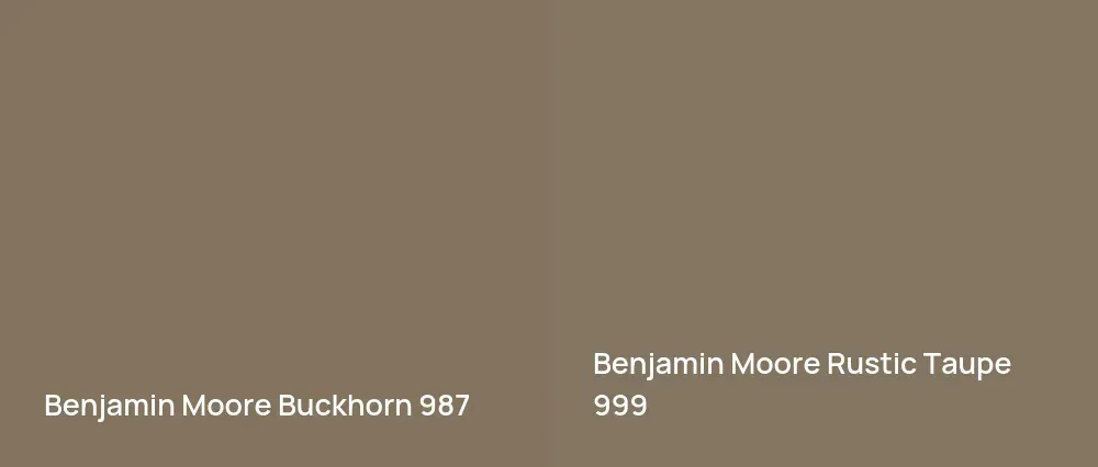 Benjamin Moore Buckhorn 987 vs Benjamin Moore Rustic Taupe 999