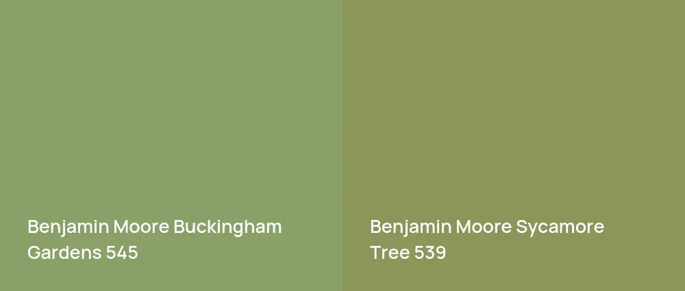 Benjamin Moore Buckingham Gardens 545 vs Benjamin Moore Sycamore Tree 539
