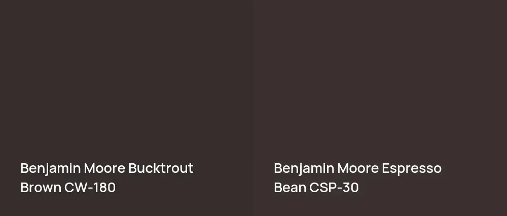 Benjamin Moore Bucktrout Brown CW-180 vs Benjamin Moore Espresso Bean CSP-30