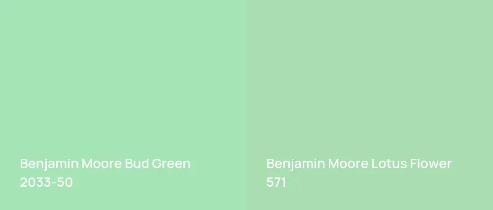 Benjamin Moore Bud Green 2033-50 vs Benjamin Moore Lotus Flower 571