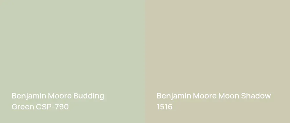 Benjamin Moore Budding Green CSP-790 vs Benjamin Moore Moon Shadow 1516