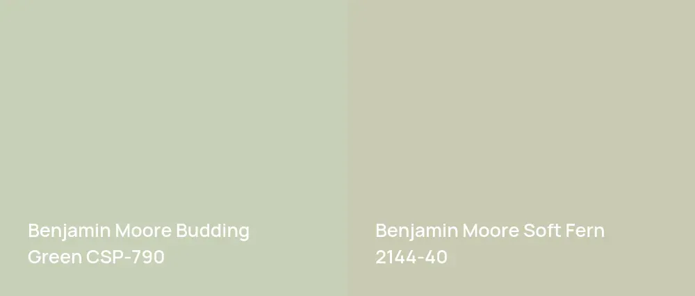 Benjamin Moore Budding Green CSP-790 vs Benjamin Moore Soft Fern 2144-40