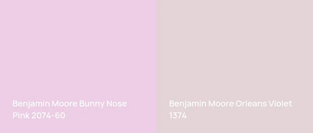 Benjamin Moore Bunny Nose Pink 2074-60 vs Benjamin Moore Orleans Violet 1374