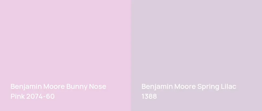 Benjamin Moore Bunny Nose Pink 2074-60 vs Benjamin Moore Spring Lilac 1388